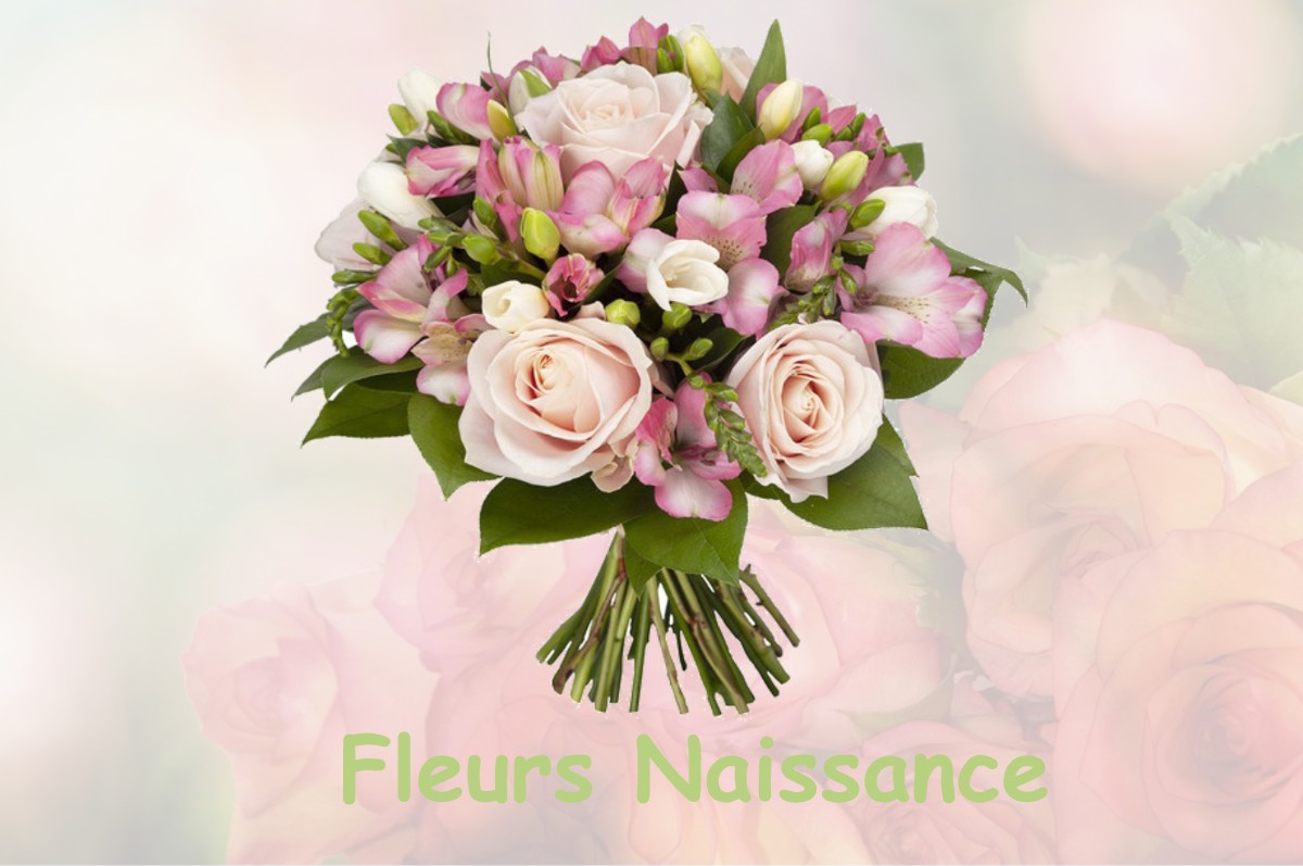 fleurs naissance VIGNAUX