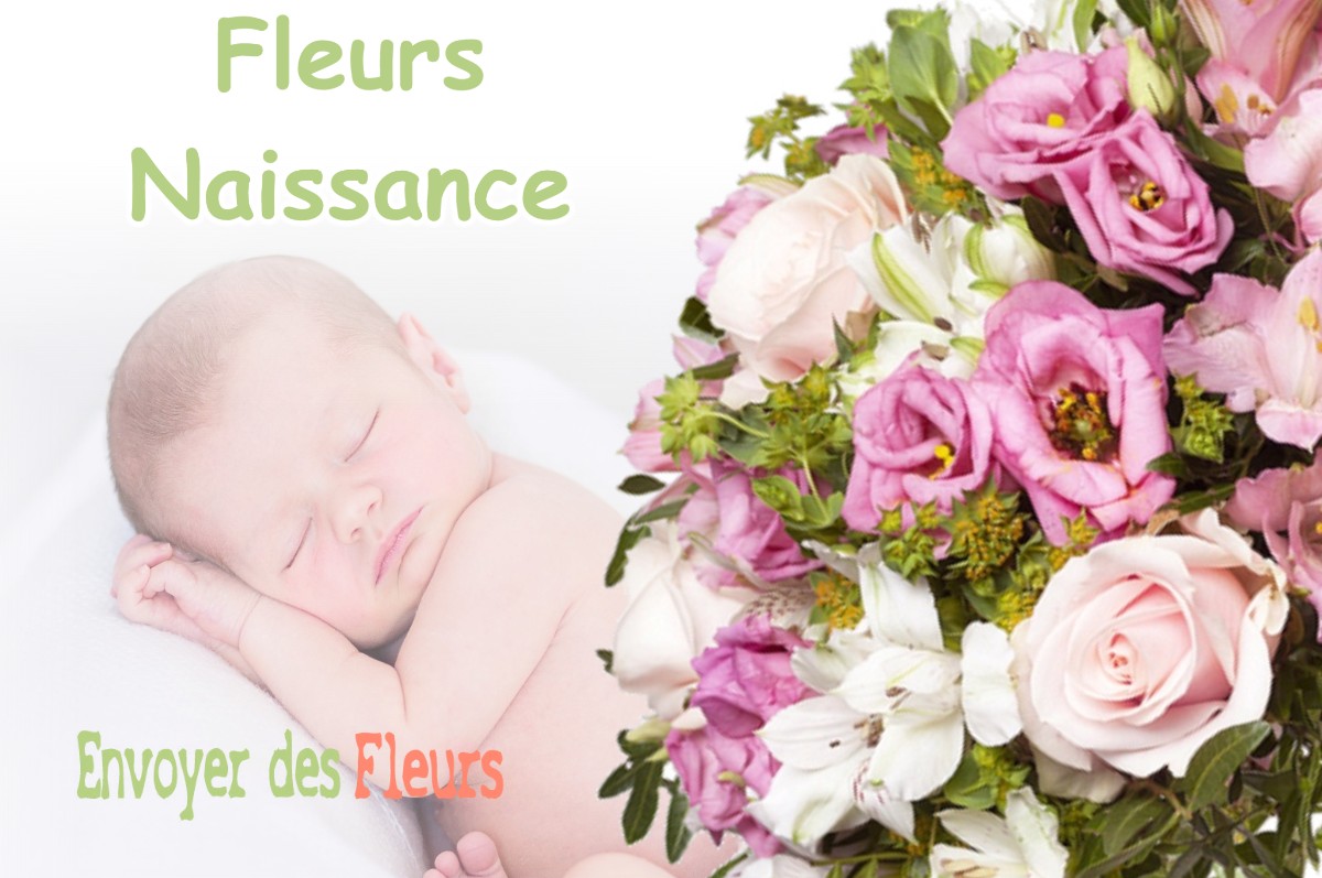 lIVRAISON FLEURS NAISSANCE à VIGNAUX